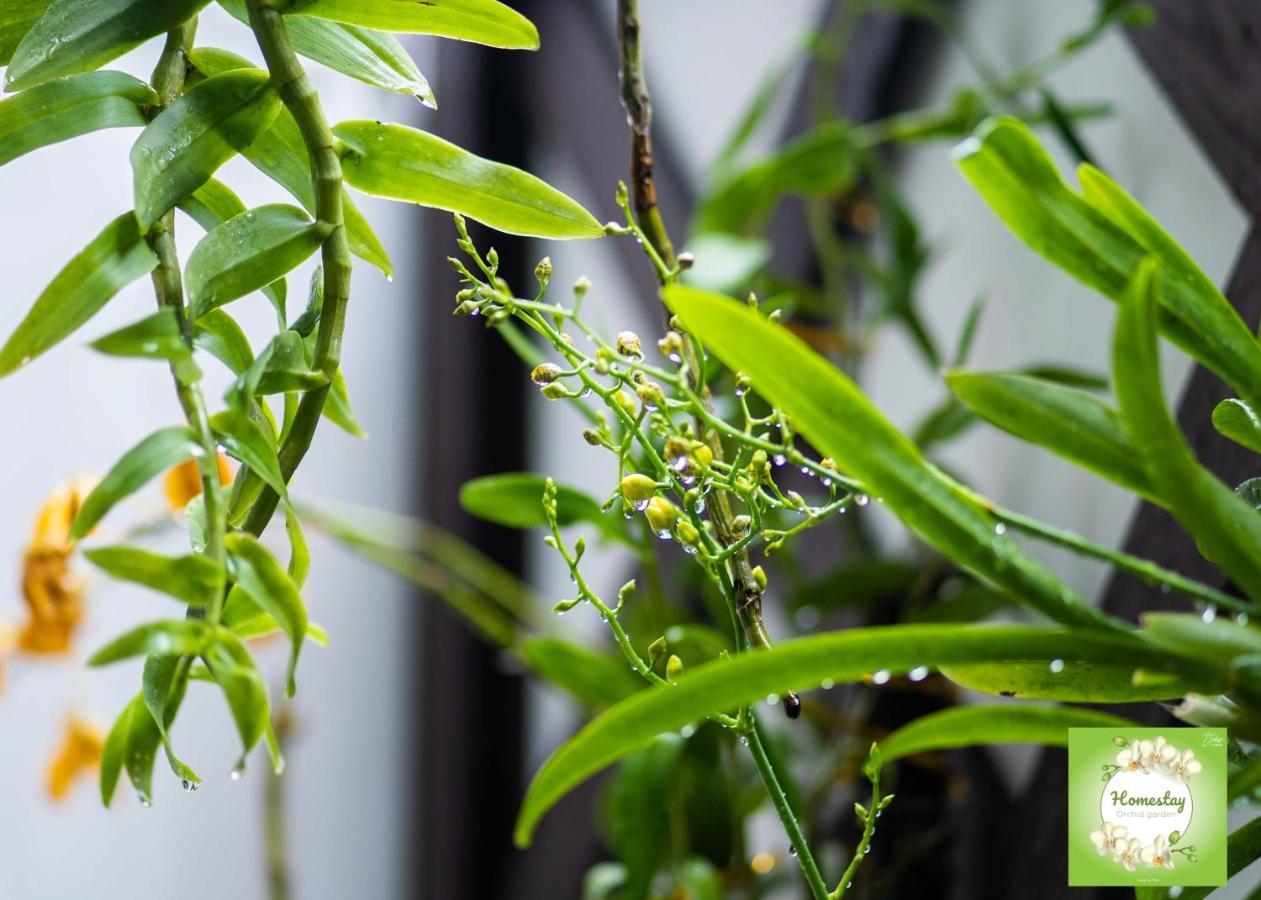 Can Tho Orchid Garden Homestay Bagian luar foto